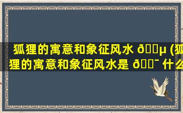 狐狸的寓意和象征风水 🐵 (狐狸的寓意和象征风水是 🐯 什么)